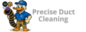preciseductcleaning.com